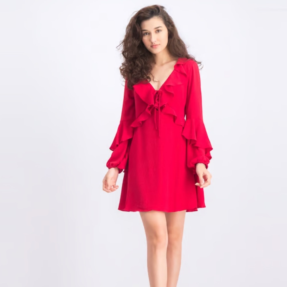 Elegant Red Long Sleeve Dress - Picture 2 of 5